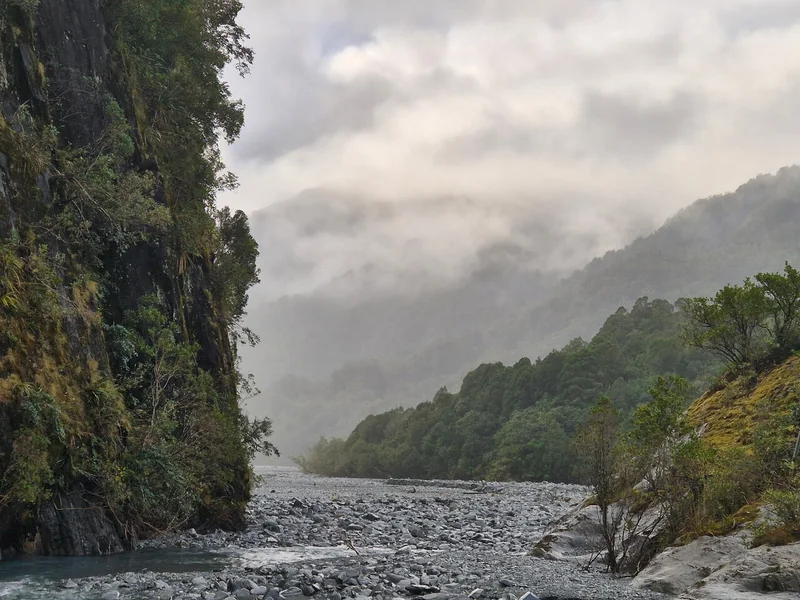Mist hanging over the Franz Josef valley floor beside a dark forested cliff
